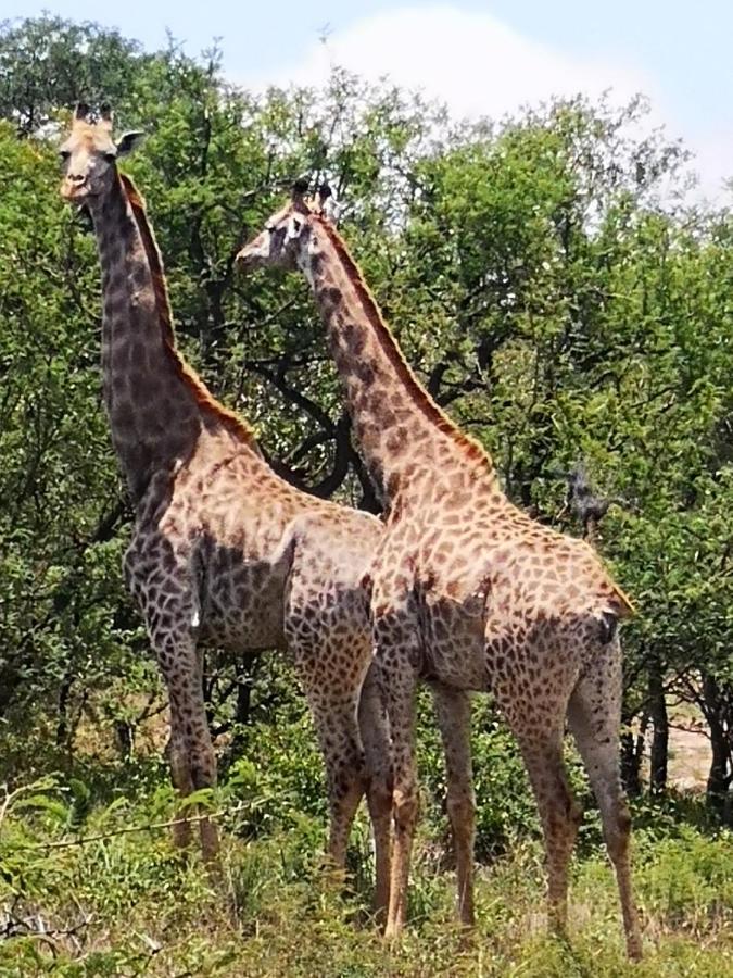 Boulders Safari Lodge Malalane Eksteriør bilde